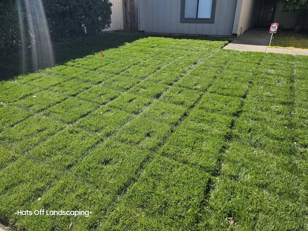 Trusted residential landscaping for residential properties in Stockton, CA by Hats Off Landscaping+