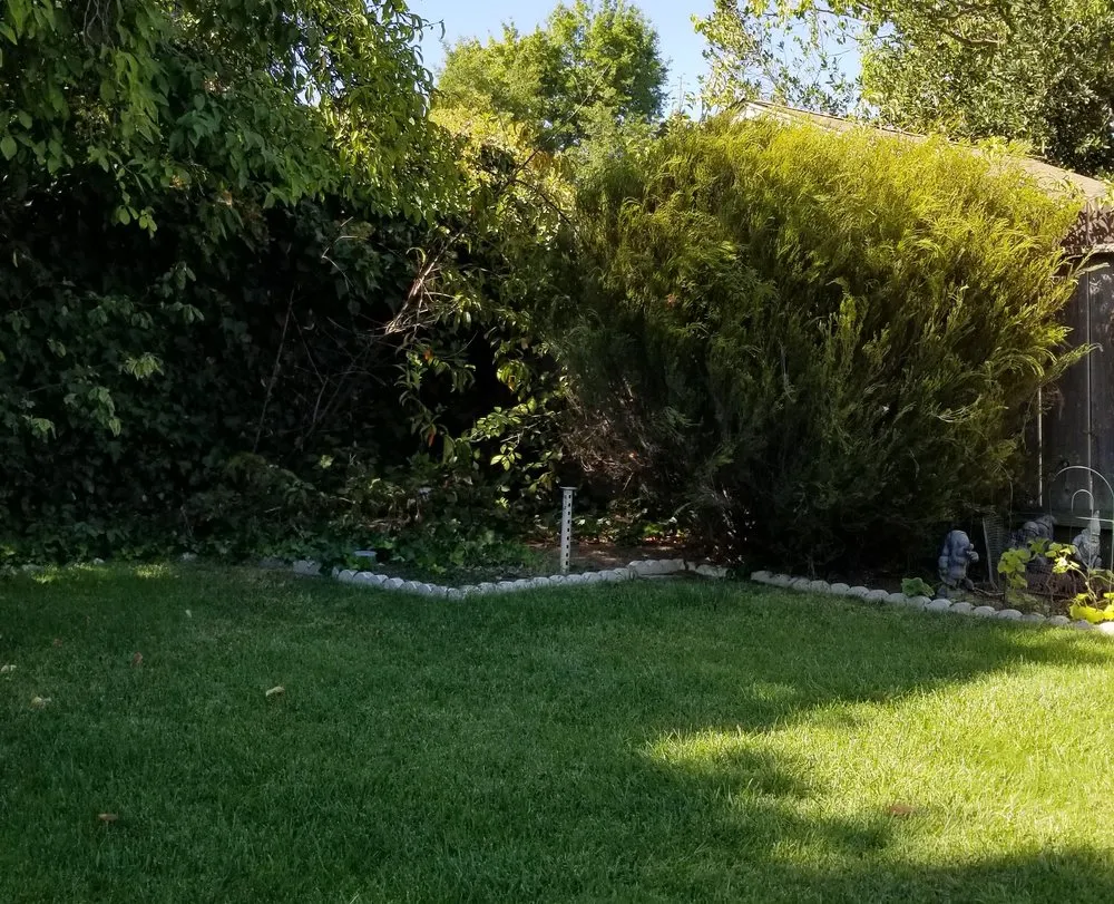 Expert landscape design experts serving Stockton, CA - Hats Off Landscaping+