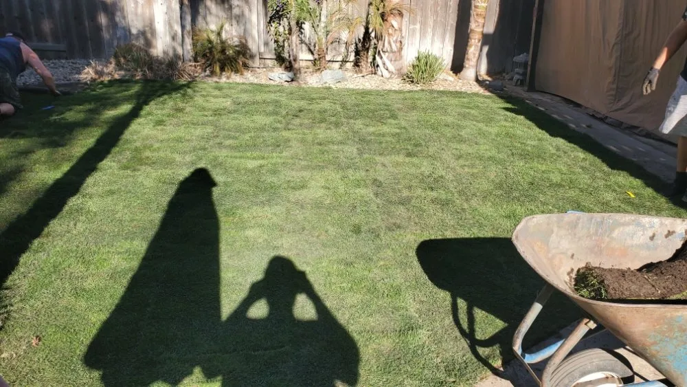 Expert lawn care service in Stockton, CA - Hats Off Landscaping+