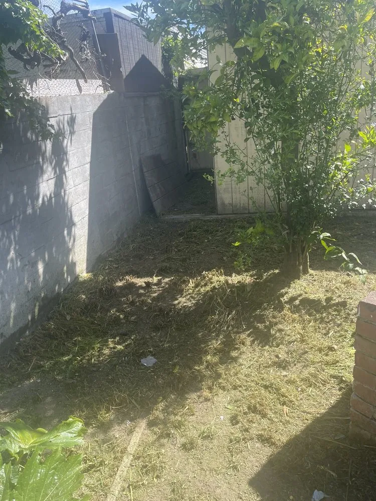 Professional outdoor landscaping with custom design across Stockton, CA - Hats Off Landscaping+