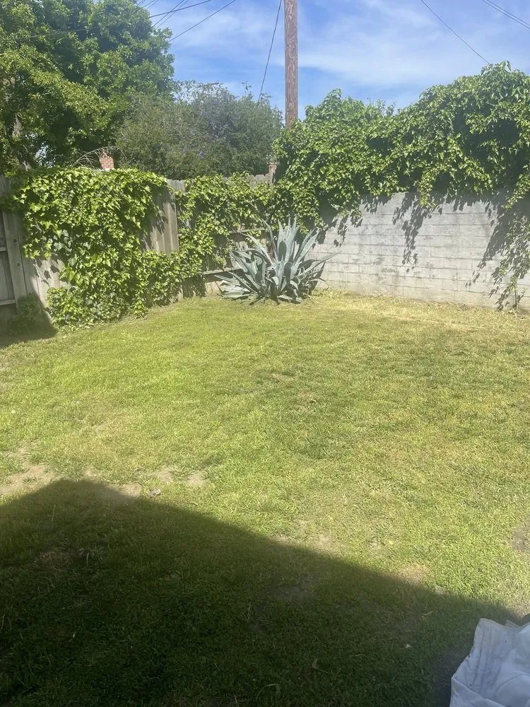 Affordable landscaping services for year-round maintenance in Stockton, CA by Hats Off Landscaping+