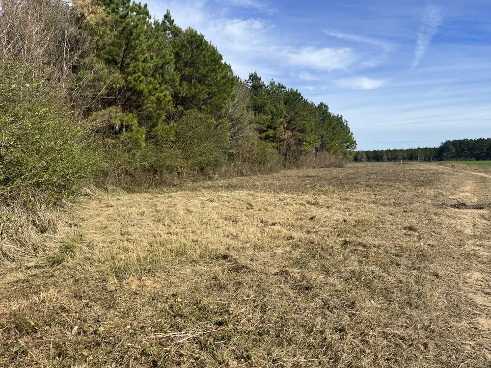 Custom landscaping services experts serving Uriah, AL - Hattamer's Greenscape Sloutions