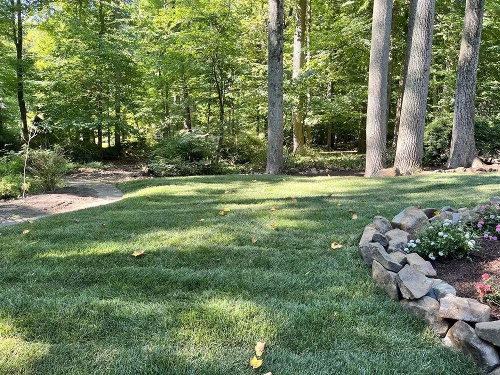 Reliable yard cleanup service experts serving Cranford, NJ - Haughey Brothers Landscaping