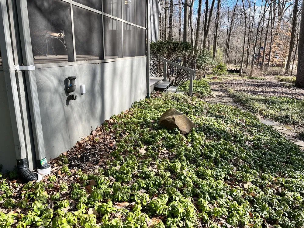 Trusted yard maintenance in Cranford, NJ - Haughey Brothers Landscaping