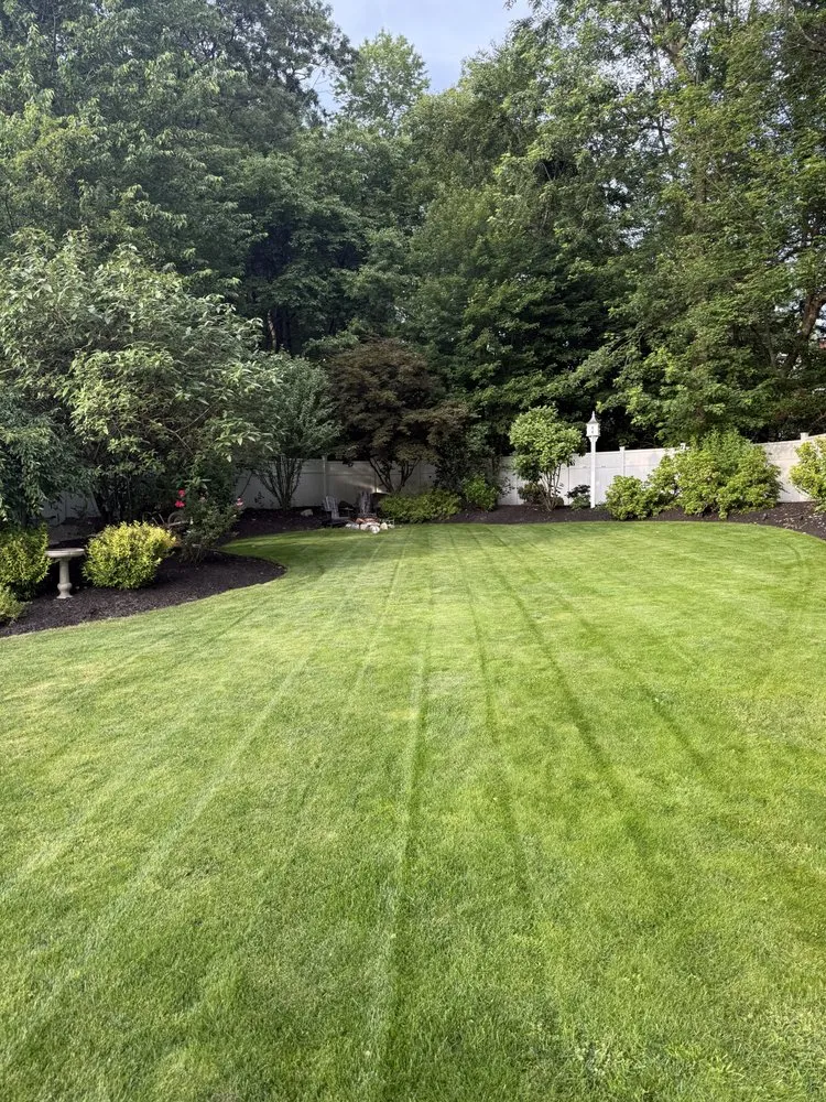 Top-rated lawn mowing service with custom design across Norwood, MA - Haul & Hedge Bros