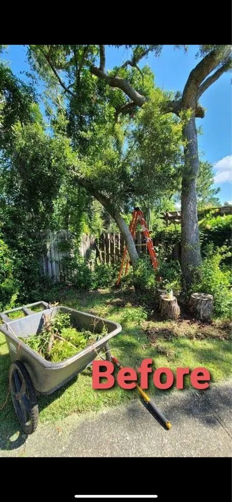 Professional outdoor landscaping experts serving Baton Rouge, LA - Haul and Hammer