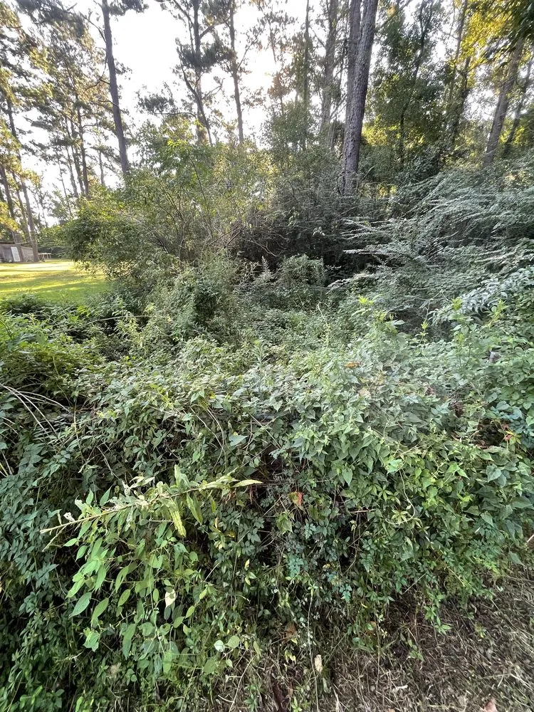 Trusted landscape installation in Baton Rouge, LA by Haul and Hammer