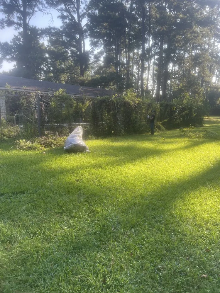 Custom residential landscaping experts serving Baton Rouge, LA - Haul and Hammer