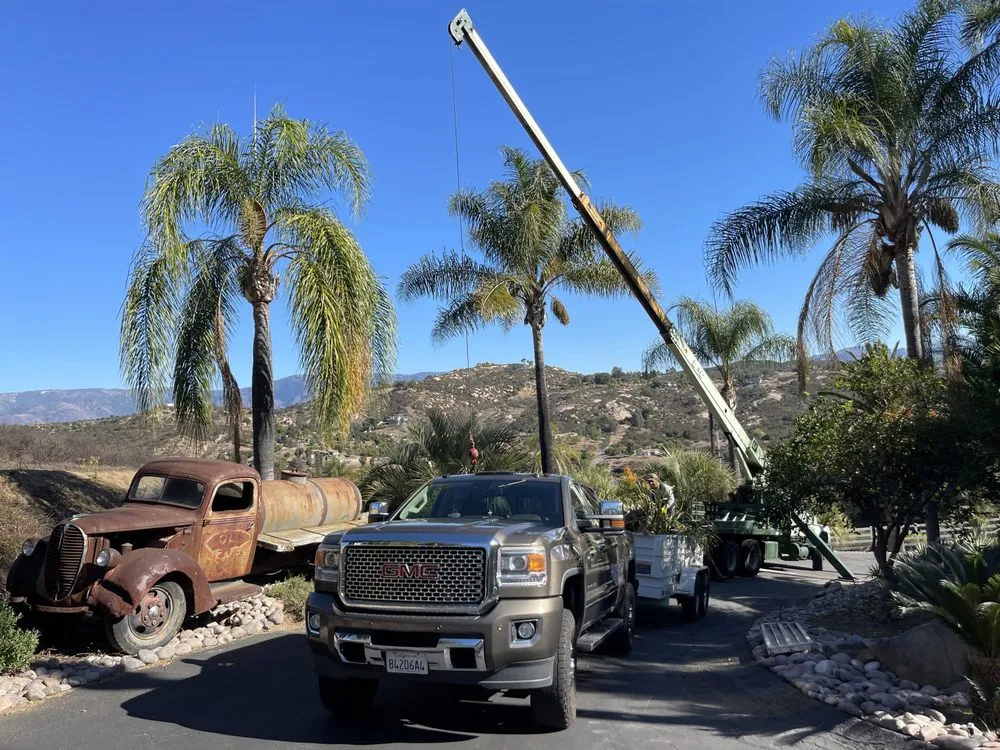 Affordable yard maintenance near you in Bonsall, CA by Haul Boss