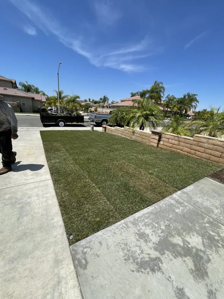 Affordable lawn care service in Bonsall, CA - Haul Boss