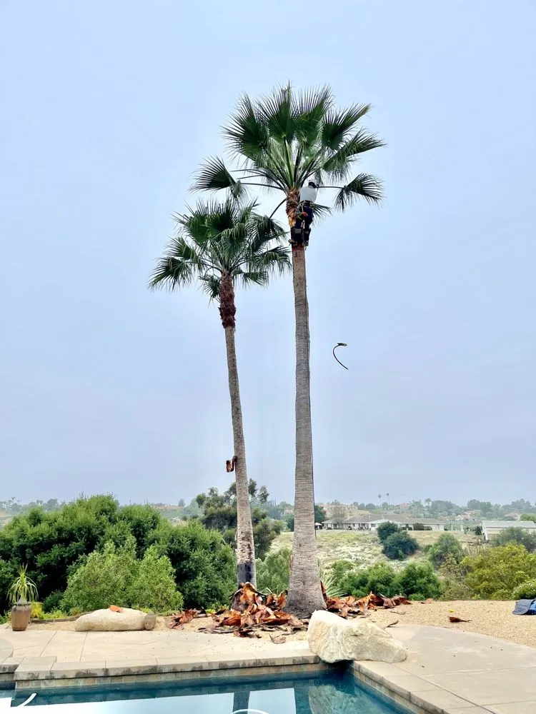 Top-rated lawn mowing service experts serving Bonsall, CA - Haul Boss