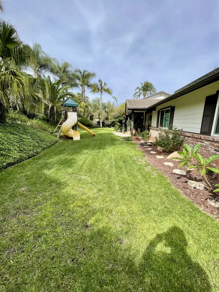 Professional lawn mowing service in Bonsall, CA - Haul Boss