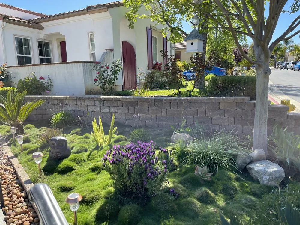Custom yard cleanup service with custom design across Bonsall, CA - Haul Boss
