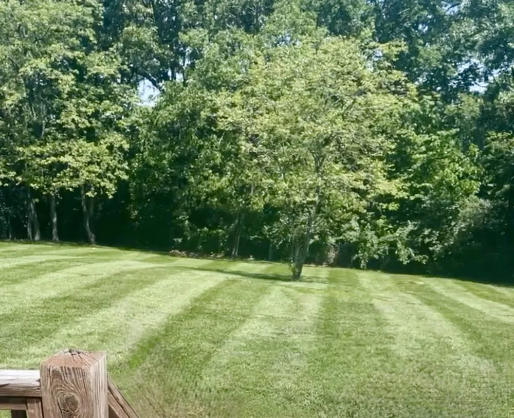 Professional lawn mowing service in Imperial, MO - Haul Day Every Day