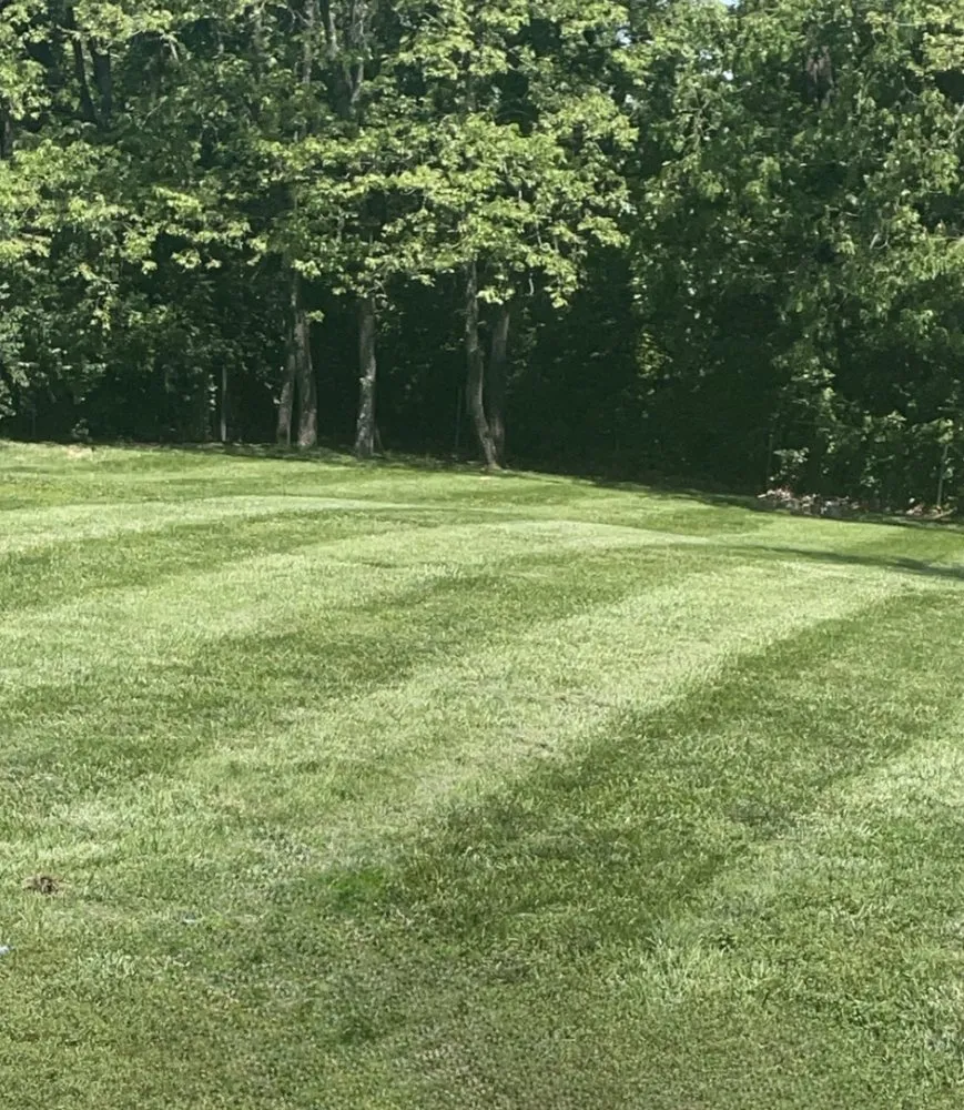 Trusted garden landscaping experts serving Imperial, MO - Haul Day Every Day