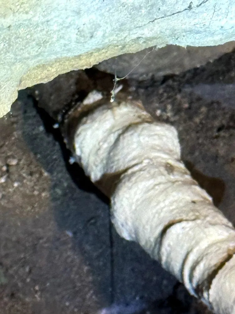 Affordable landscape design in Millville, PA - Haul It All Away