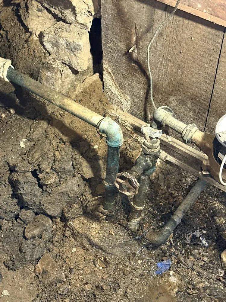 Trusted yard cleanup service experts serving Millville, PA - Haul It All Away