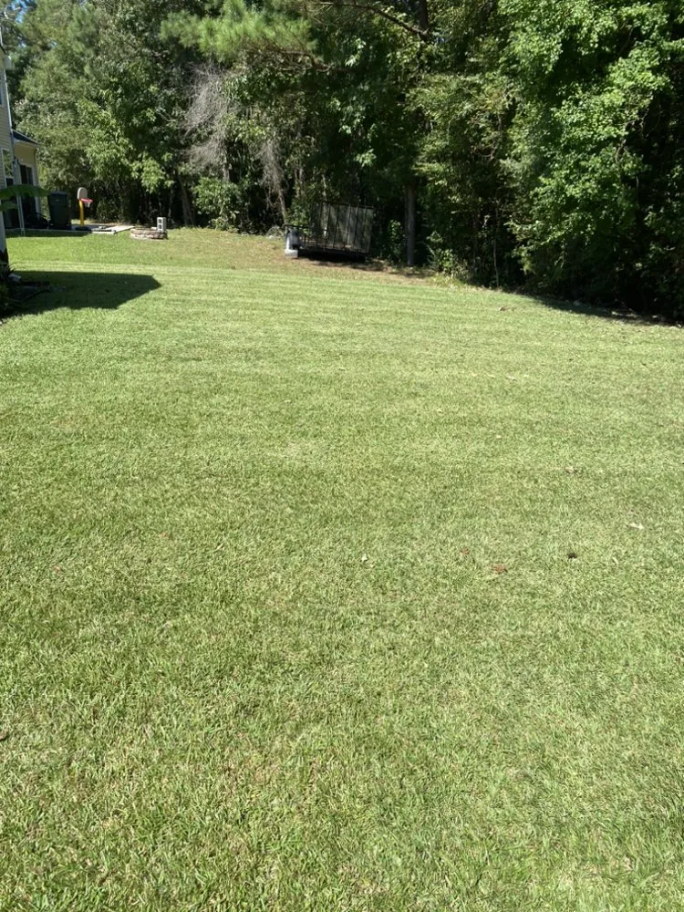 Affordable landscape installation experts serving North Charleston, SC - Haul it All