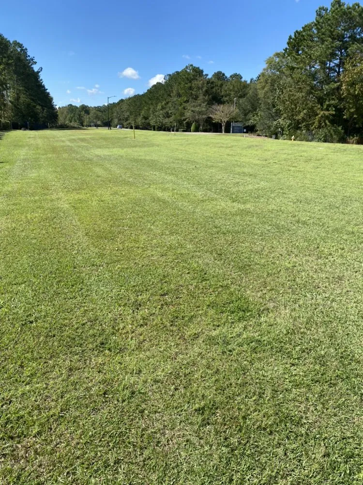 Reliable lawn care service in North Charleston, SC - Haul it All