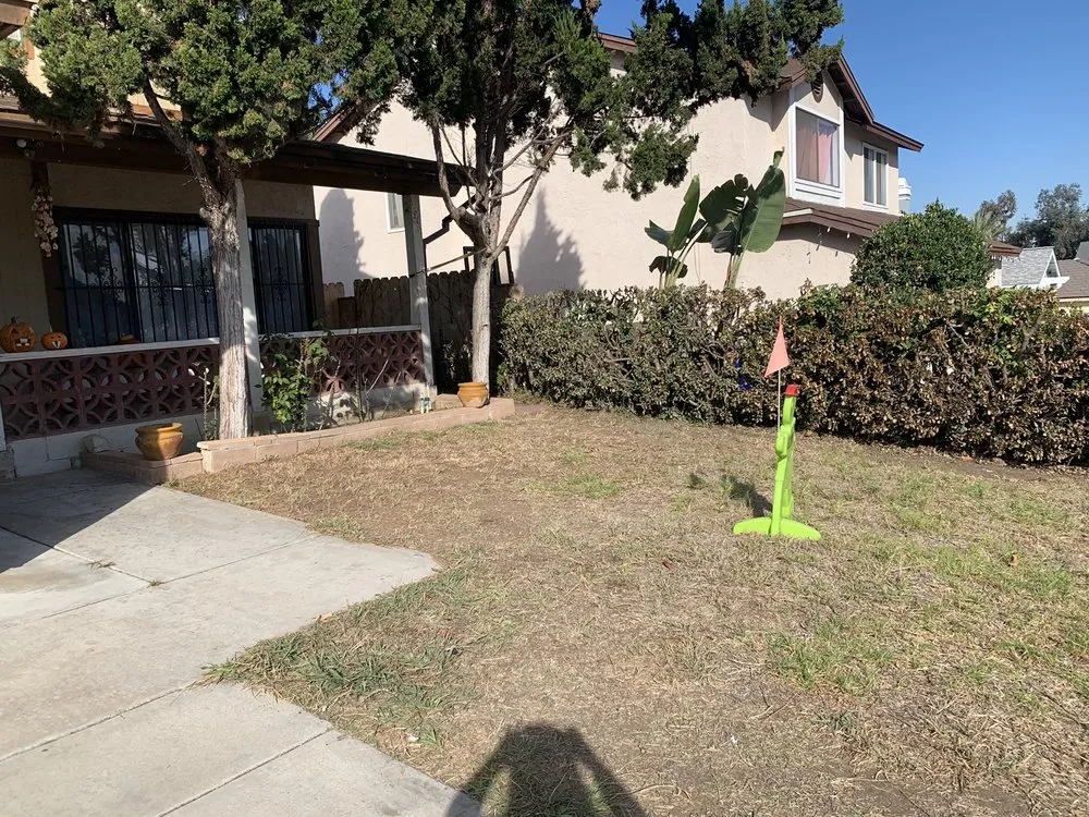 Expert outdoor landscaping in Spring Valley, CA by Haul Loads Services