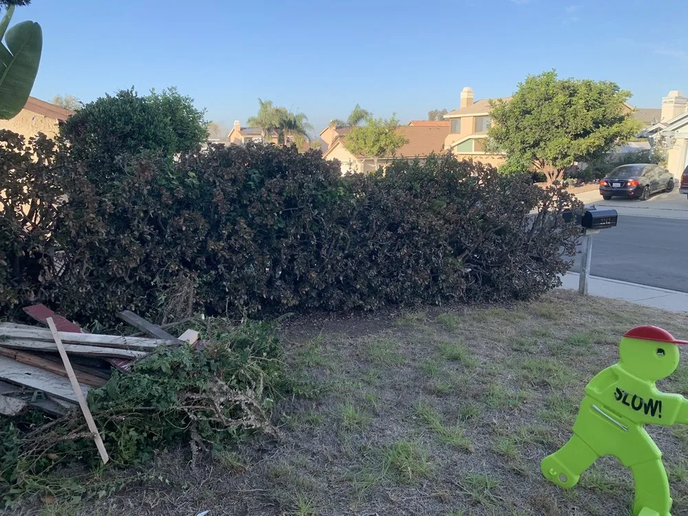 Reliable garden landscaping in Spring Valley, CA by Haul Loads Services