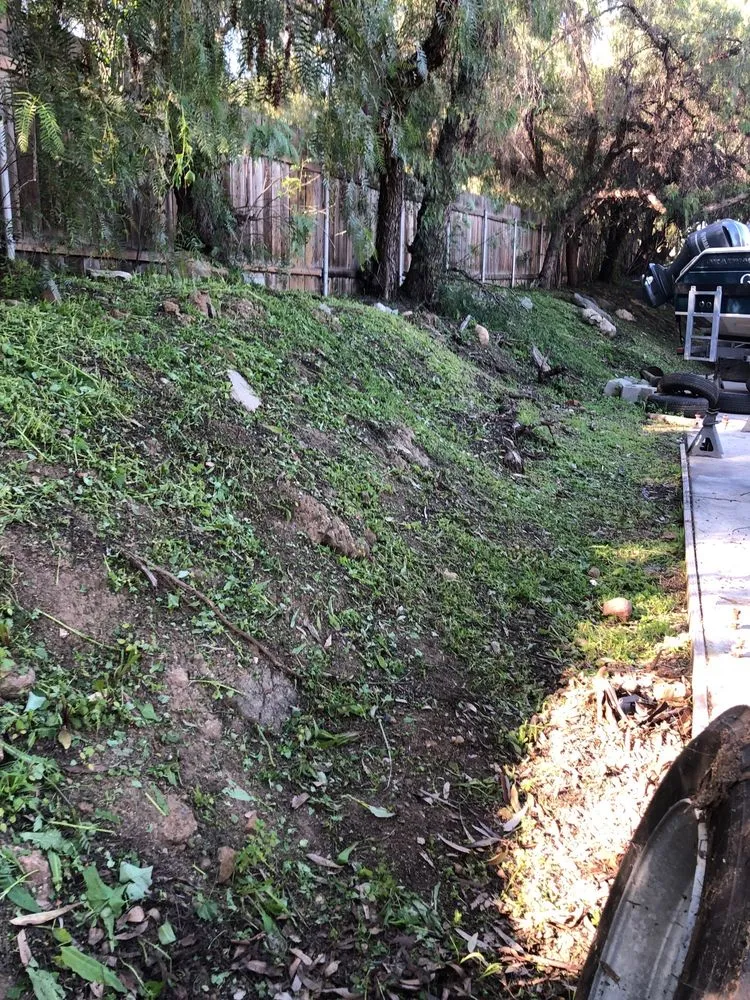 Top-rated landscaping services in Spring Valley, CA by Haul Loads Services