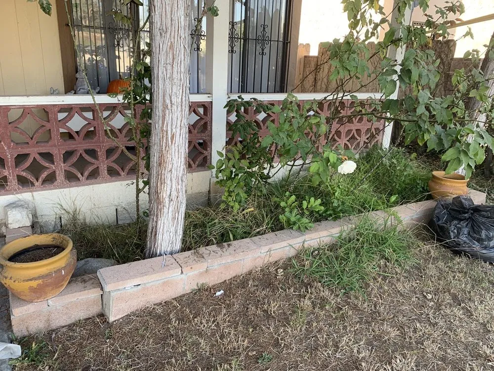Custom yard maintenance with custom design across Spring Valley, CA - Haul Loads Services
