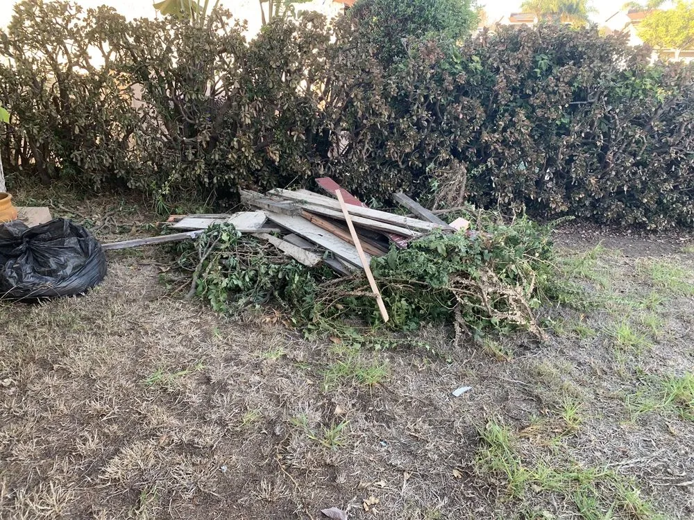 Local outdoor landscaping in Spring Valley, CA by Haul Loads Services