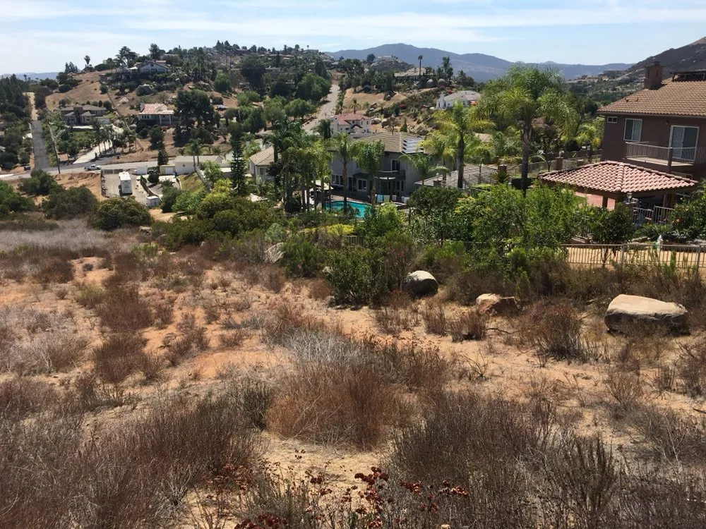 Expert landscape design in Spring Valley, CA - Haul Loads Services