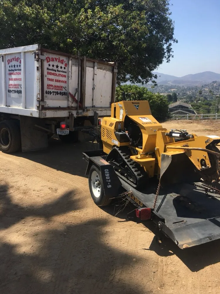 Trusted lawn care service in Spring Valley, CA - Haul Loads Services