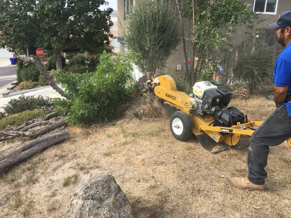 Reliable lawn care service in Spring Valley, CA - Haul Loads Services