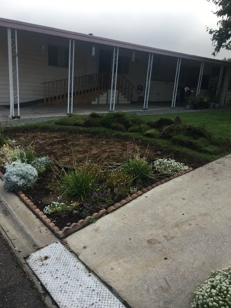 Top-rated outdoor landscaping in Spring Valley, CA by Haul Loads Services