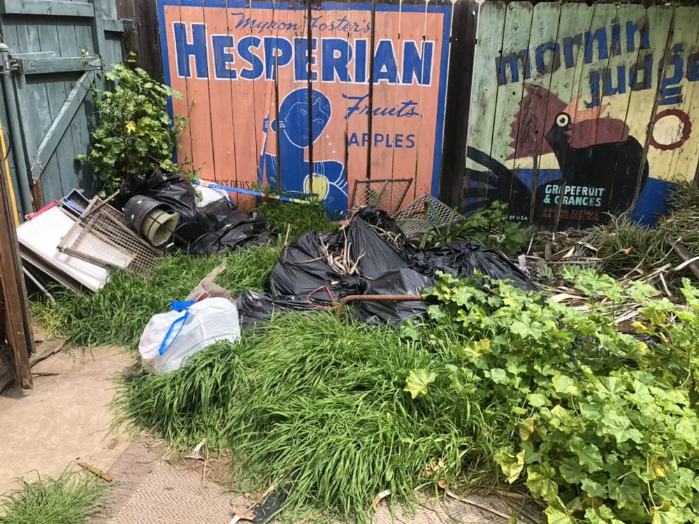 Reliable lawn care service in Spring Valley, CA - Haul Loads Services