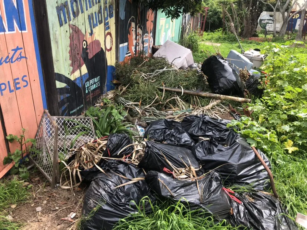 Custom landscape installation in Spring Valley, CA - Haul Loads Services