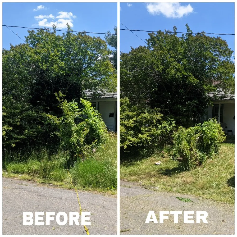 Custom yard maintenance for year-round maintenance across Henrico, VA - Haul Monitor