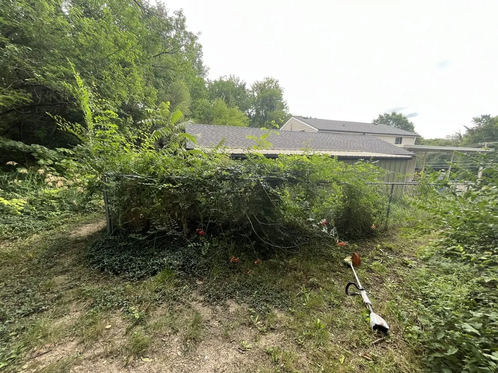 Local yard cleanup service in Junction City, KS - Haul n Hustle