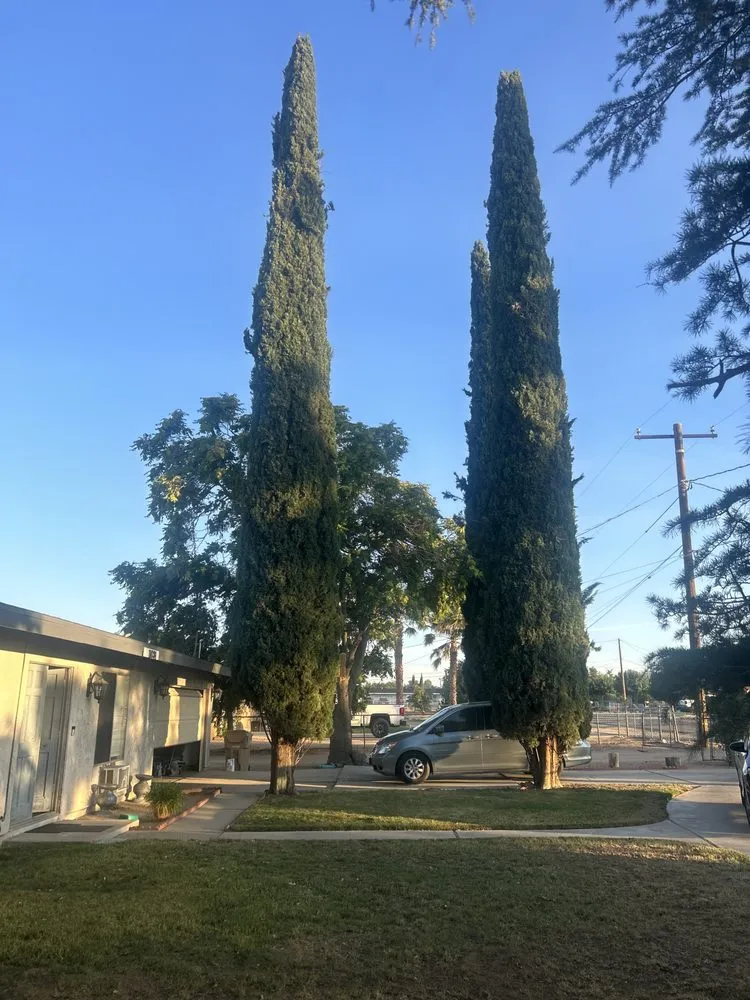 Affordable landscape installation in Hesperia, CA by Haul n’ stuff