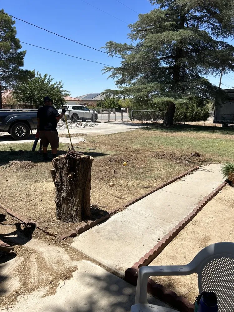 Custom landscape installation for homes in Hesperia, CA by Haul n’ stuff