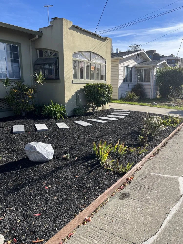 Reliable yard cleanup service near you in Berkeley, CA by Haul U Need Yard Services