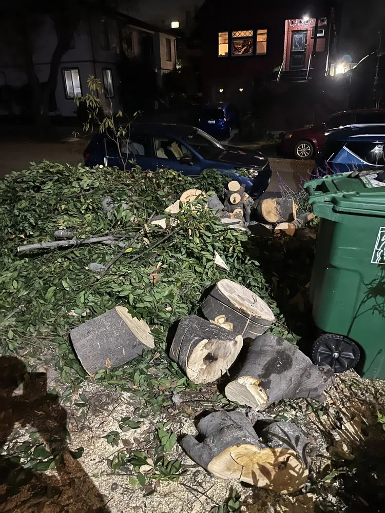 Trusted outdoor landscaping experts serving Berkeley, CA - Haul U Need Yard Services