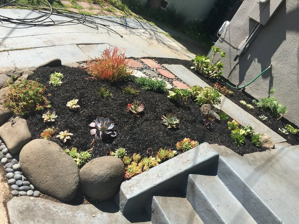 Expert residential landscaping for homes across Berkeley, CA - Haul U Need Yard Services