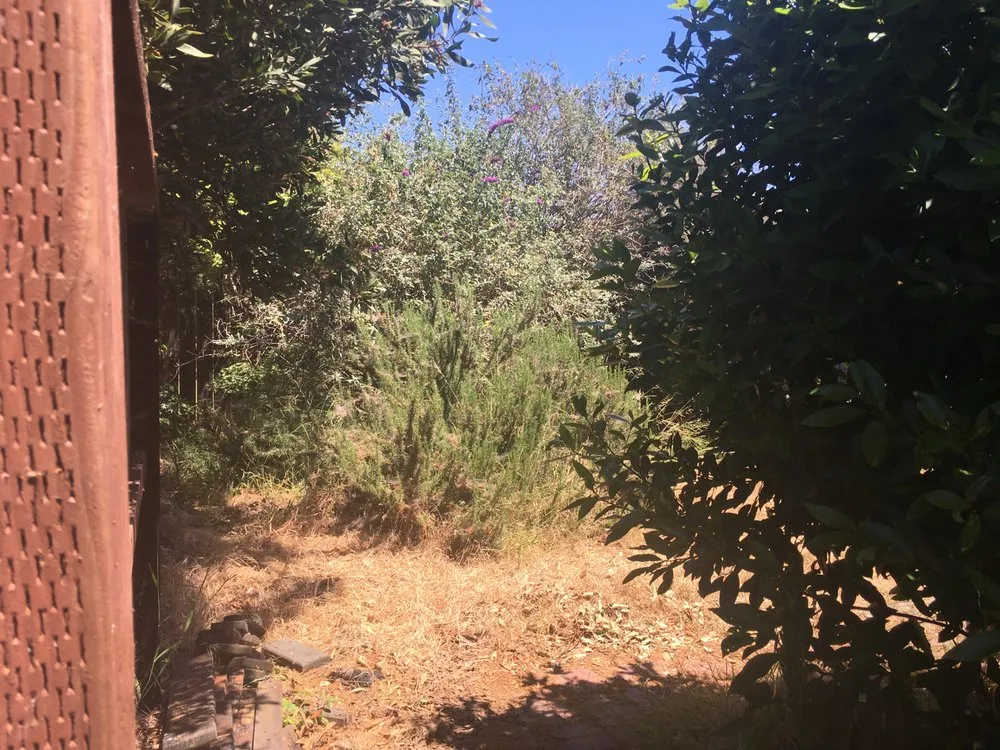 Expert outdoor landscaping with custom design in Berkeley, CA by Haul U Need Yard Services