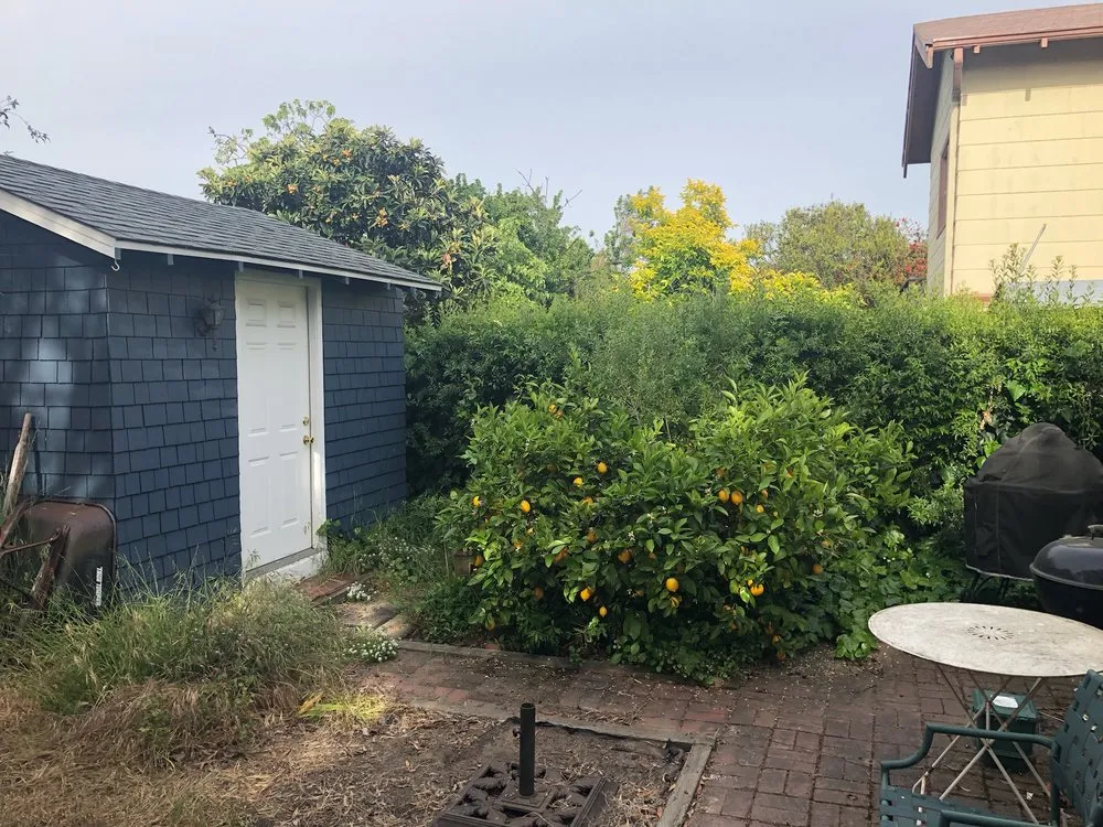 Local garden landscaping in Berkeley, CA by Haul U Need Yard Services