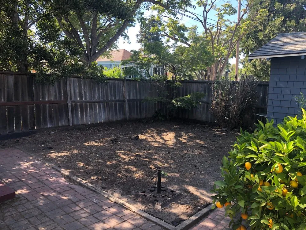 Trusted yard cleanup service in Berkeley, CA by Haul U Need Yard Services