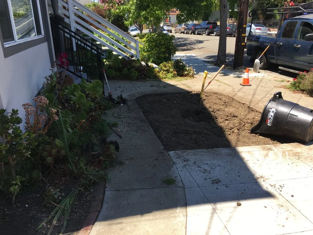 Trusted lawn mowing service near you across Berkeley, CA - Haul U Need Yard Services