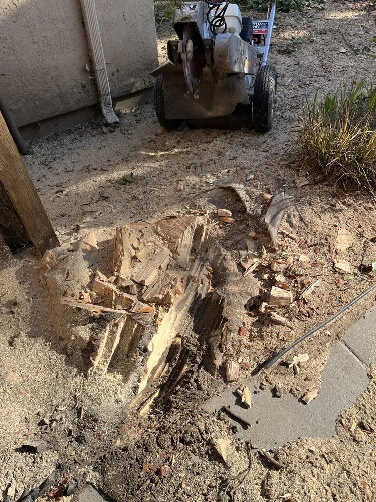 Affordable lawn mowing service in Berkeley, CA - Haul U Need Yard Services