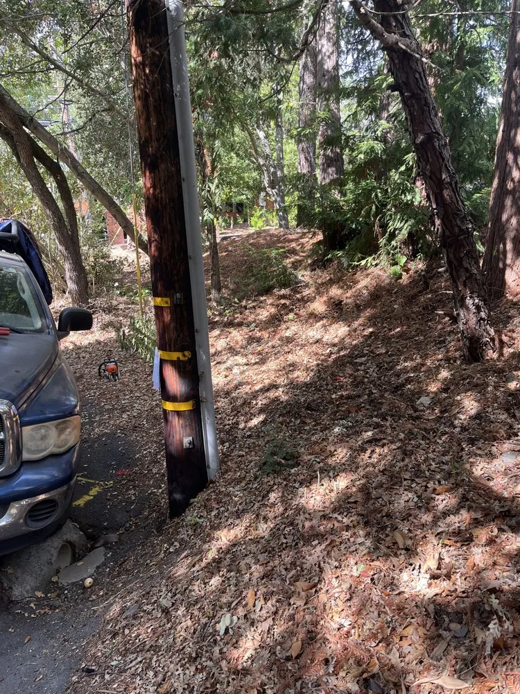 Reliable lawn care service for homes across Berkeley, CA - Haul U Need Yard Services