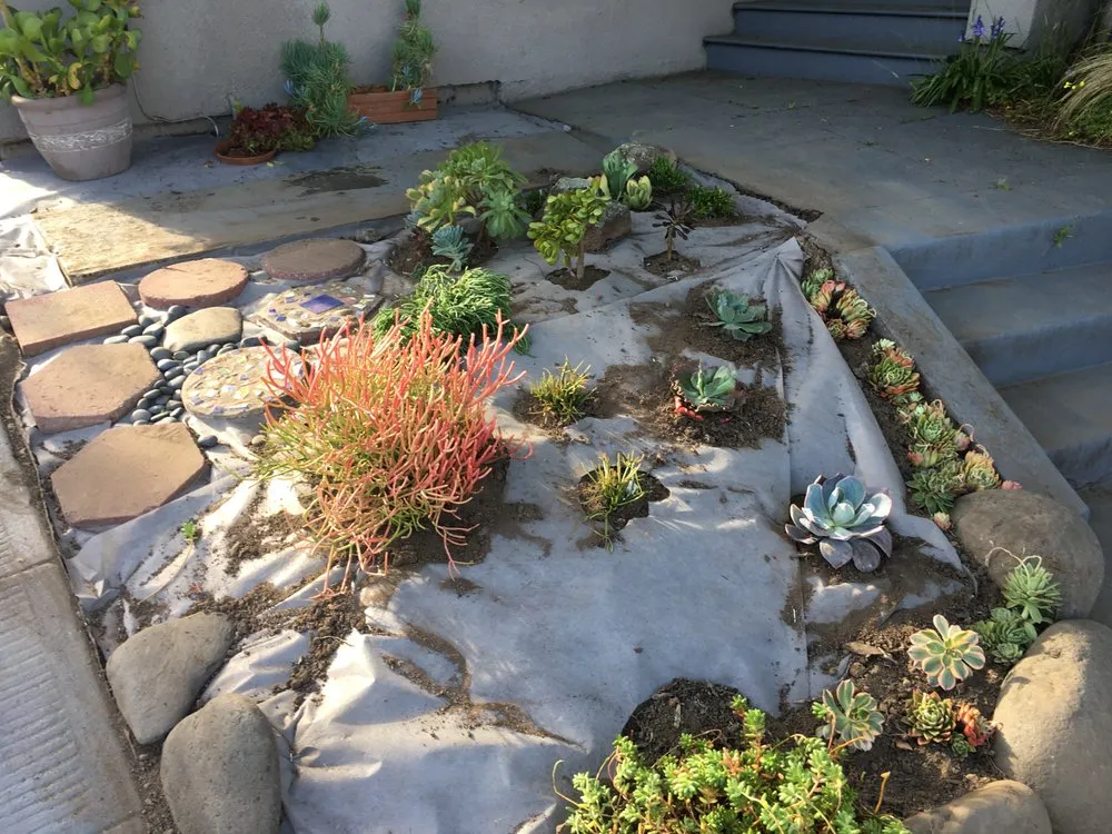 Expert landscape installation experts serving Berkeley, CA - Haul U Need Yard Services