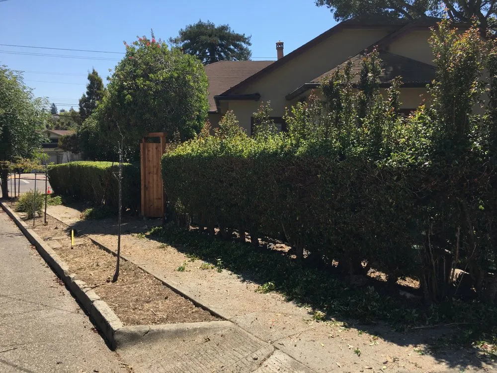 Affordable lawn care service experts serving Berkeley, CA - Haul U Need Yard Services