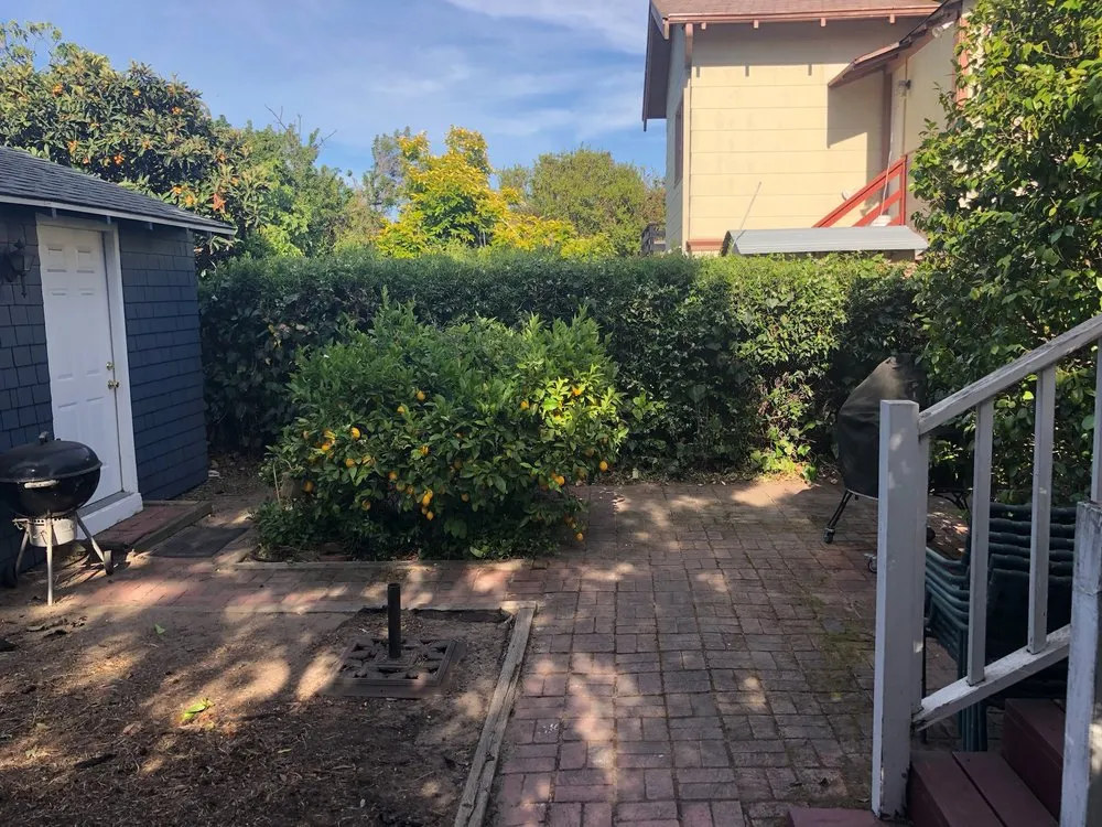 Professional lawn mowing service for year-round maintenance across Berkeley, CA - Haul U Need Yard Services